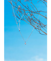 Necklace with Silver Necklace